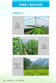 科技節(jié)水，智慧灌溉——寧波市水利局噴微灌技術(shù)推廣應(yīng)用宣傳冊(cè)